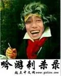 《吟游刺杀录》小说封面