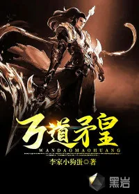 《万道矛皇》小说封面
