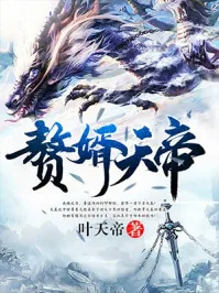 《赘婿天帝》小说封面