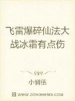 《飞雷爆碎仙法大战冰霜有点伤》小说封面