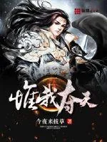 《惟我夺天》小说封面