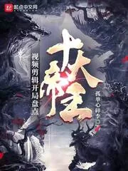 《视频剪辑：开局盘点十大帝王》小说封面