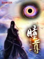 《瞳尊》小说封面