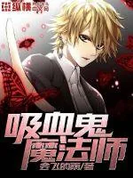 《吸血鬼魔法师》小说封面