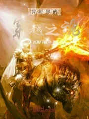 《异世界的穿越之魂》小说封面