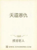 《天道恩仇》小说封面