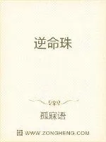 《逆命珠》小说封面