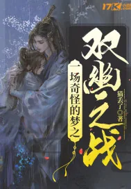 《一场奇怪的梦之双幽之战》小说封面