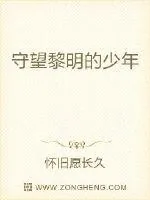 《守望黎明的少年》小说封面
