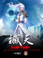 《撼天》小说封面