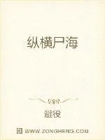 《纵横尸海》小说封面