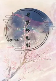 《寻梦终见影》小说封面