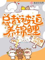 《总裁被迫养锦鲤》小说封面