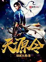《天源令》小说封面