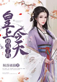 《皇上今天掉马了吗》小说封面