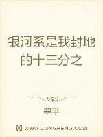 《银河系我封地的十三分之一》小说封面