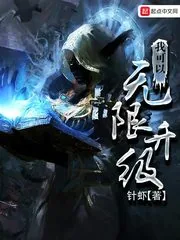 《我可以无限升级》小说封面