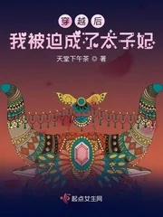 《穿越后我被迫成了太子妃》小说封面