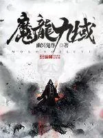 《魔龙九域》小说封面