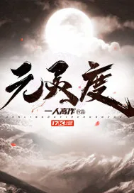 《元灵度》小说封面