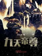 《九天帝尊》小说封面