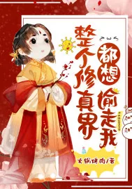 《整个修真界都想偷走我》小说封面