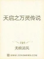 《天启之万灵传说》小说封面