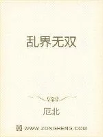 《乱界无双》小说封面