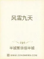 《风雪九天》小说封面