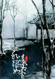 《冰凌极霜如雪》小说封面