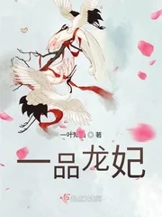 《一品龙妃》小说封面