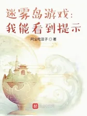 《迷雾岛游戏：我能看到提示》小说封面