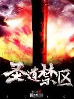 《圣道禁区》小说封面