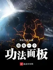 《我有一个功法面板》小说封面