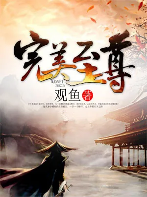 《完美至尊》小说封面