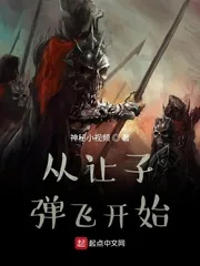 《从让子弹飞开始》小说封面