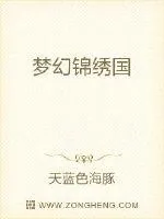 《梦幻锦绣国》小说封面