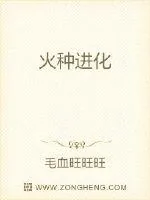 《火种进化》小说封面