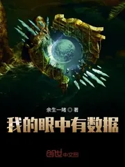 《我的眼中有数据》小说封面
