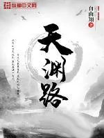 《天渊路》小说封面