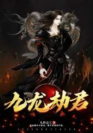 《九龙劫君》小说封面