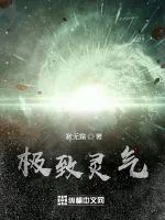 《极致灵气》小说封面