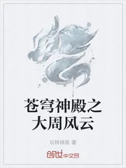《苍穹神殿之大周风云》小说封面