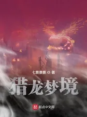 《猎龙梦境》小说封面