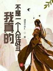 《我真的不是一个人在战斗》小说封面