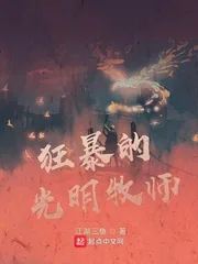 《狂暴的光明牧师》小说封面