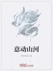 《意动山河》小说封面