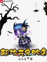 《超次元宠物店》小说封面