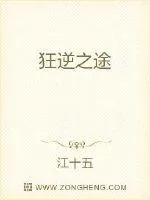 《狂逆之途》小说封面