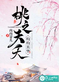 《桃之夭夭灼灼其华》小说封面